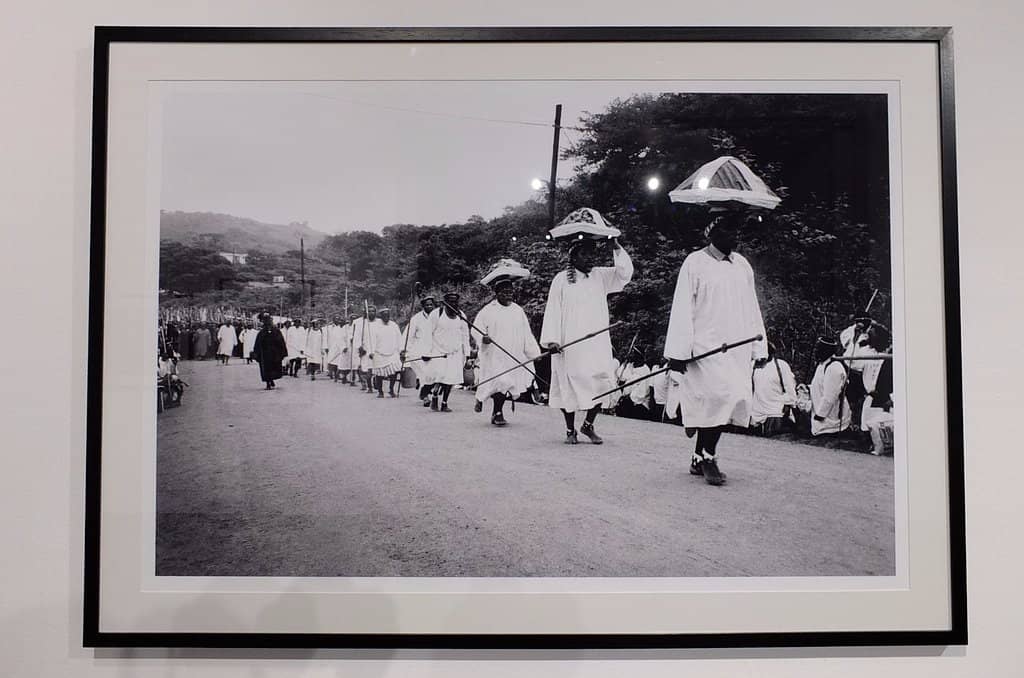 Dr. David Koloane Retrospective