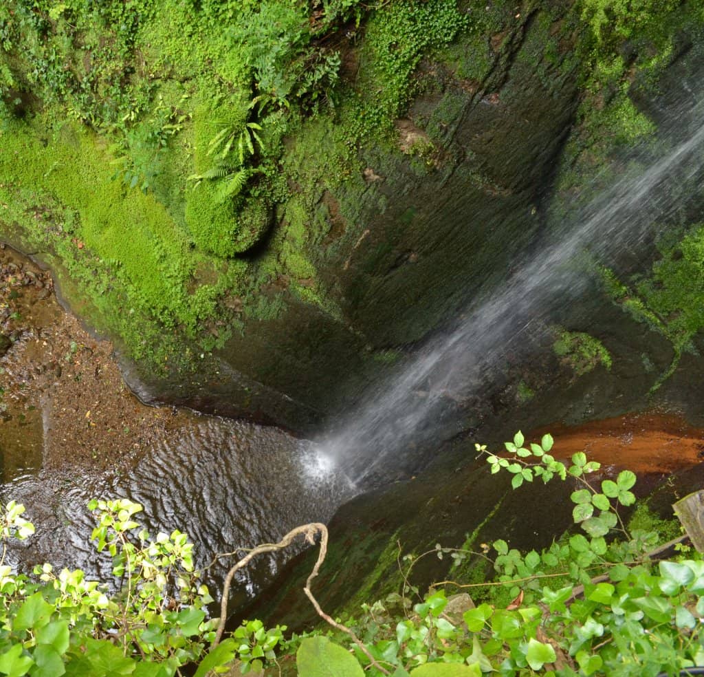 The Enchanted Gorge