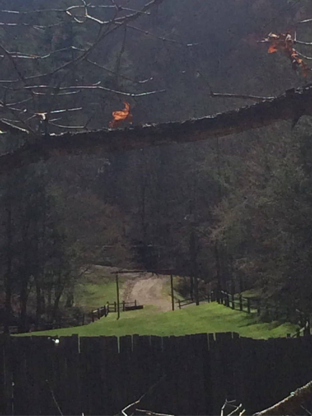 The Dolly Parton Statue