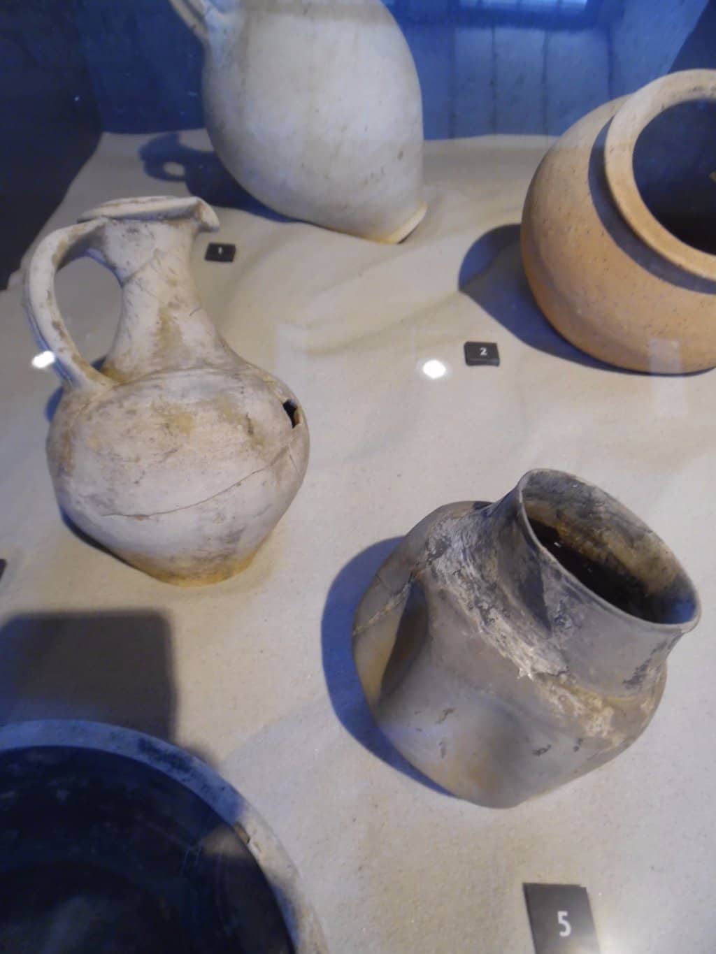 Engaging Temporary Exhibitions