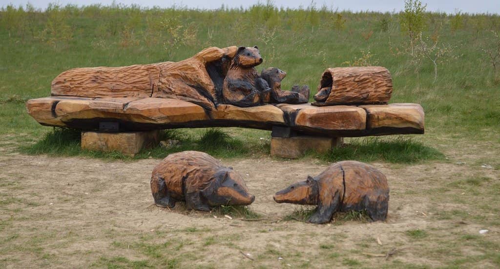 Artistic Installations