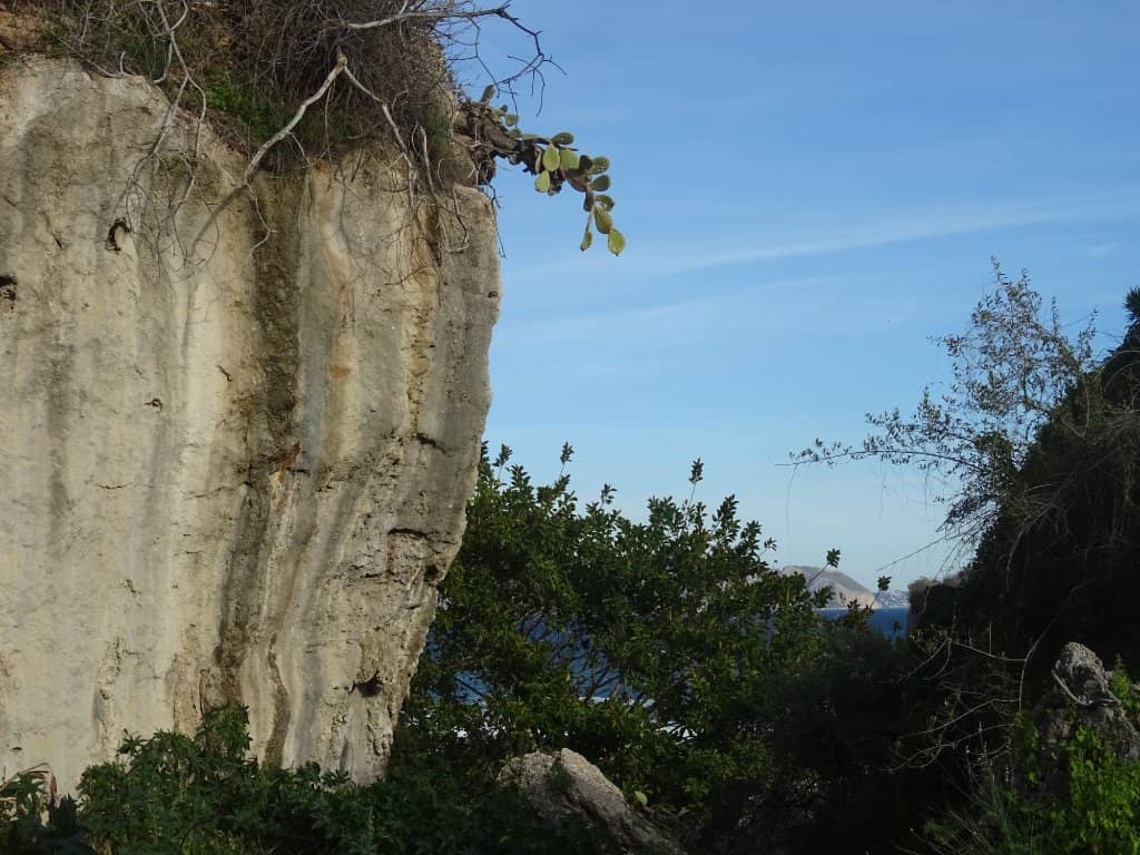 Vertical photo