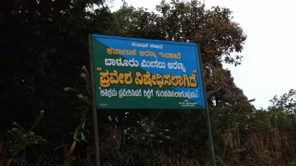 Chikmagalur's Hidden Gem