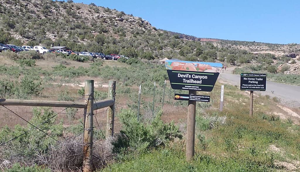 Diverse Trail Network