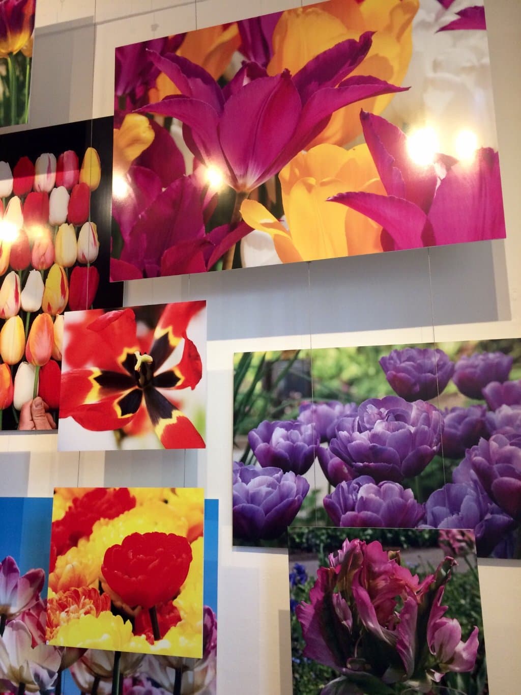 Un semplice negozio nel quale comprare gadgets in tema di tulipani...non è un museo!Se si ha poc