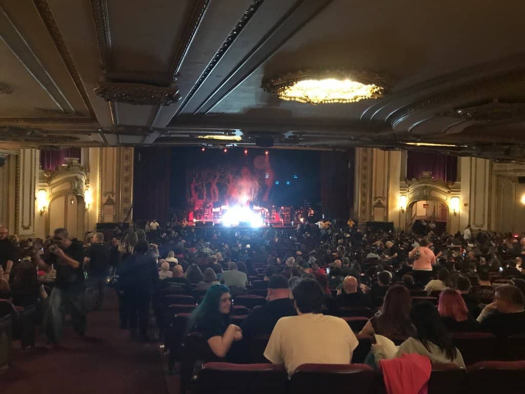 Live Concerts & Performances