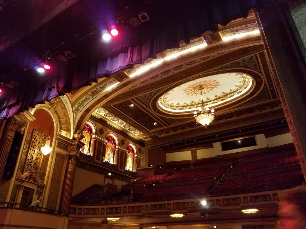 Live Performances & Stage Plays