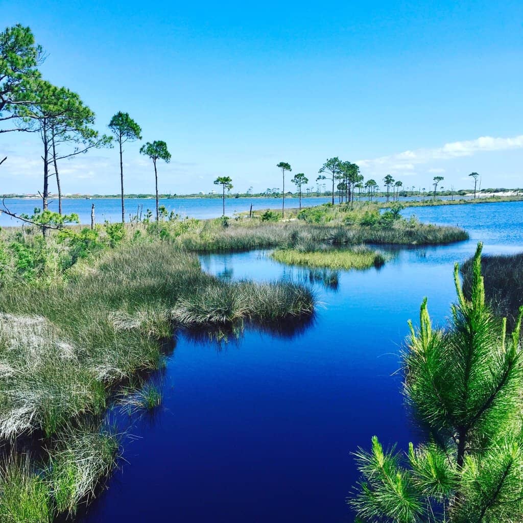 Birdwatching Paradise