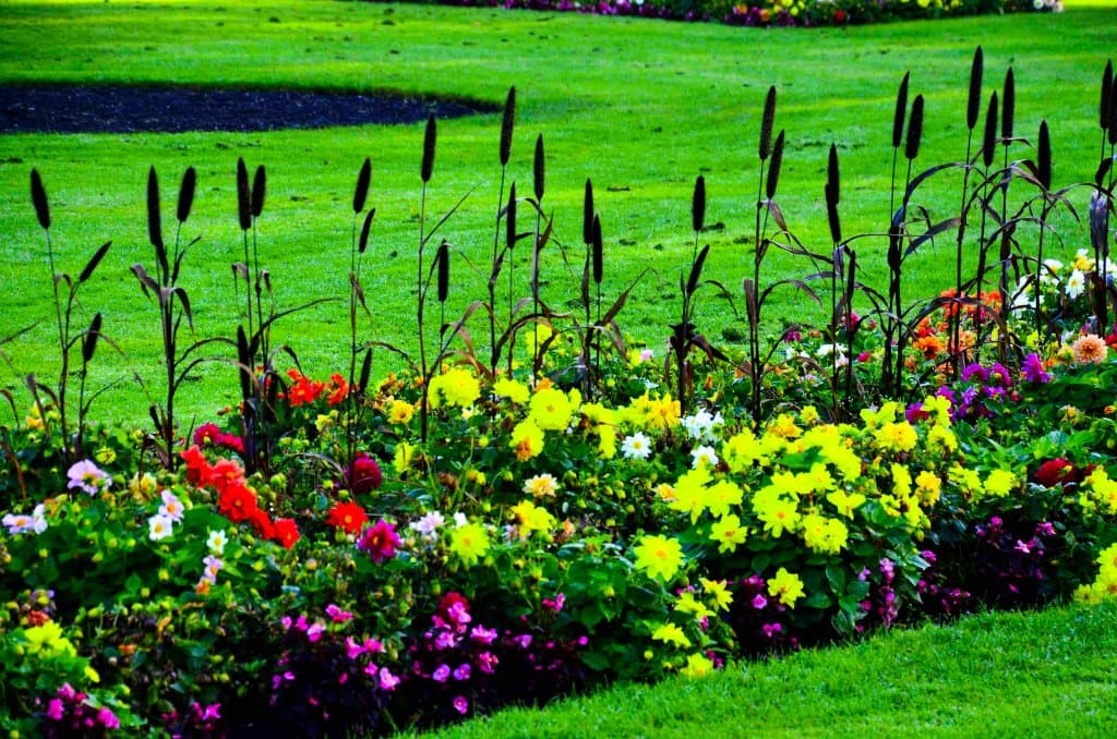 Merrion Square