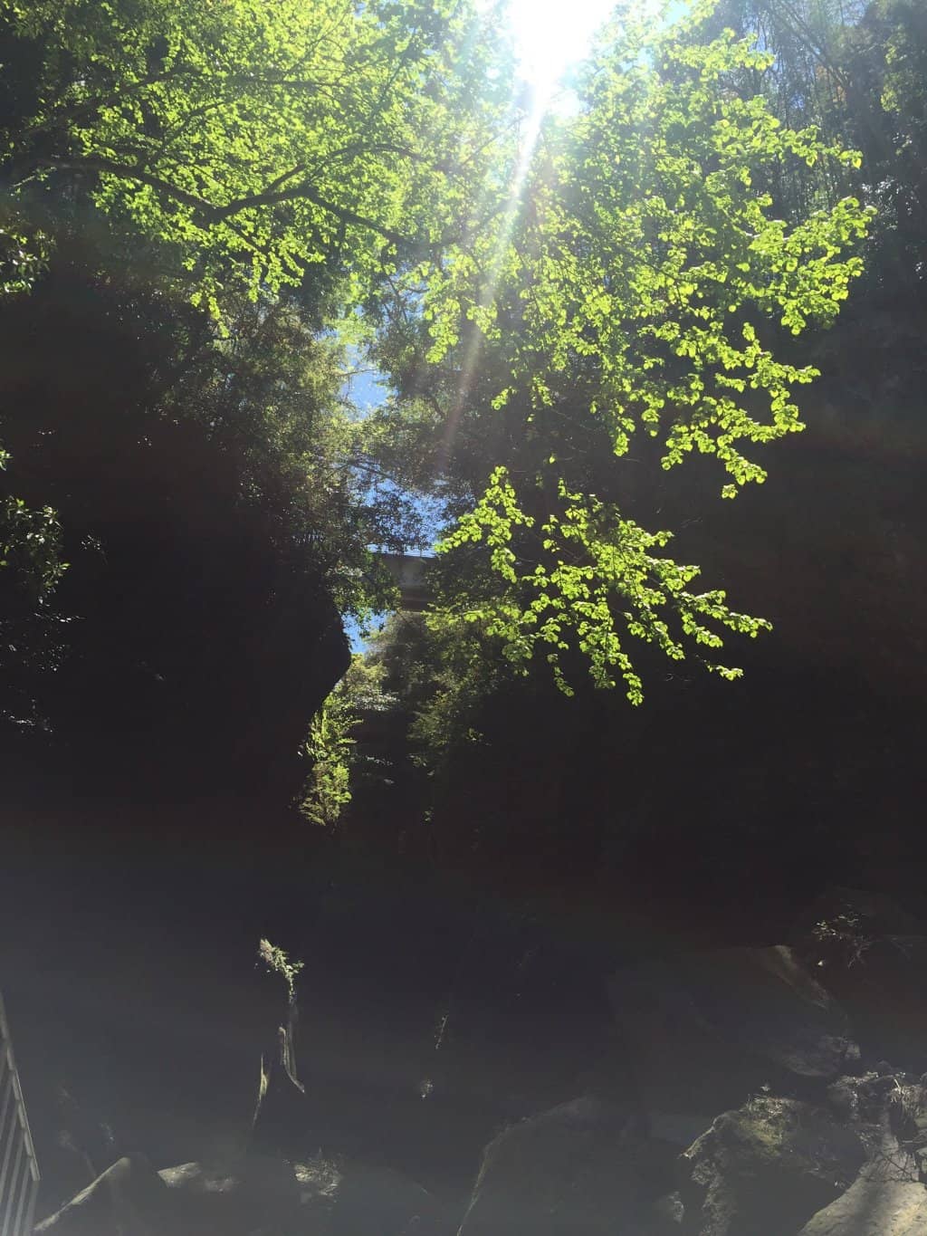 Crystal-Clear Waters