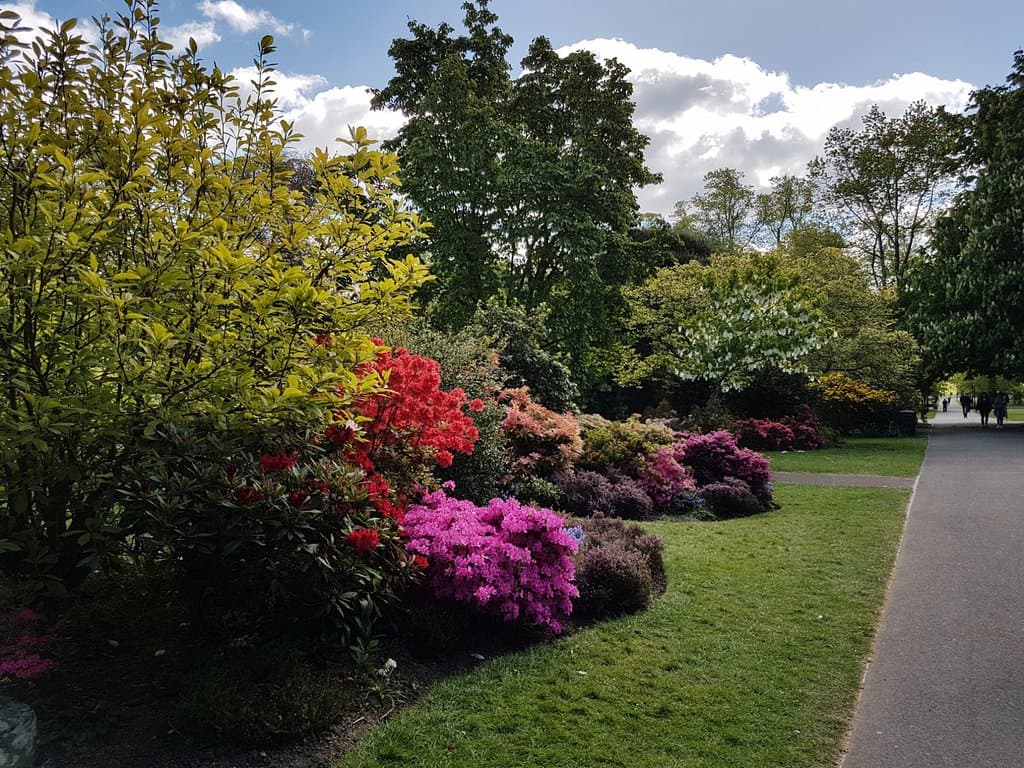 Palmerston park