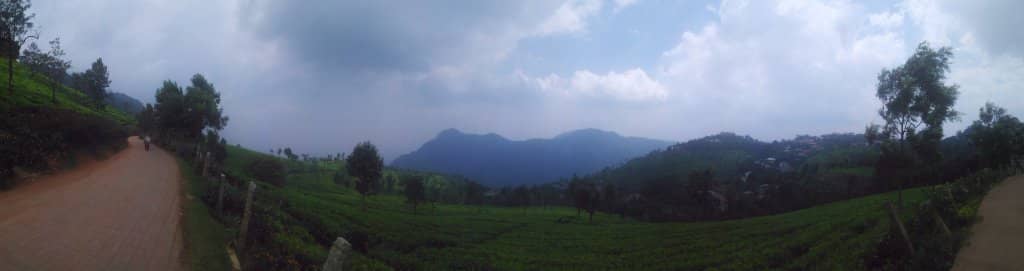 Catherine Falls Vista