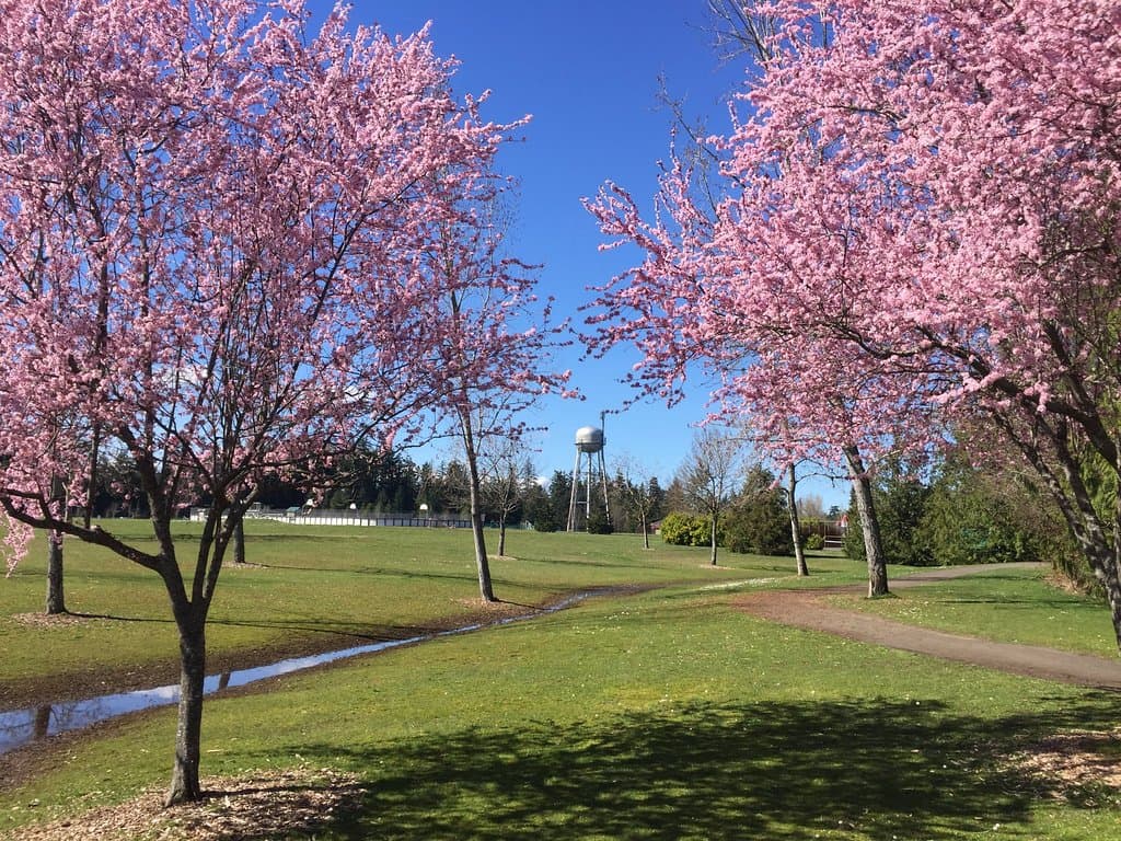 Watertower in the Spring