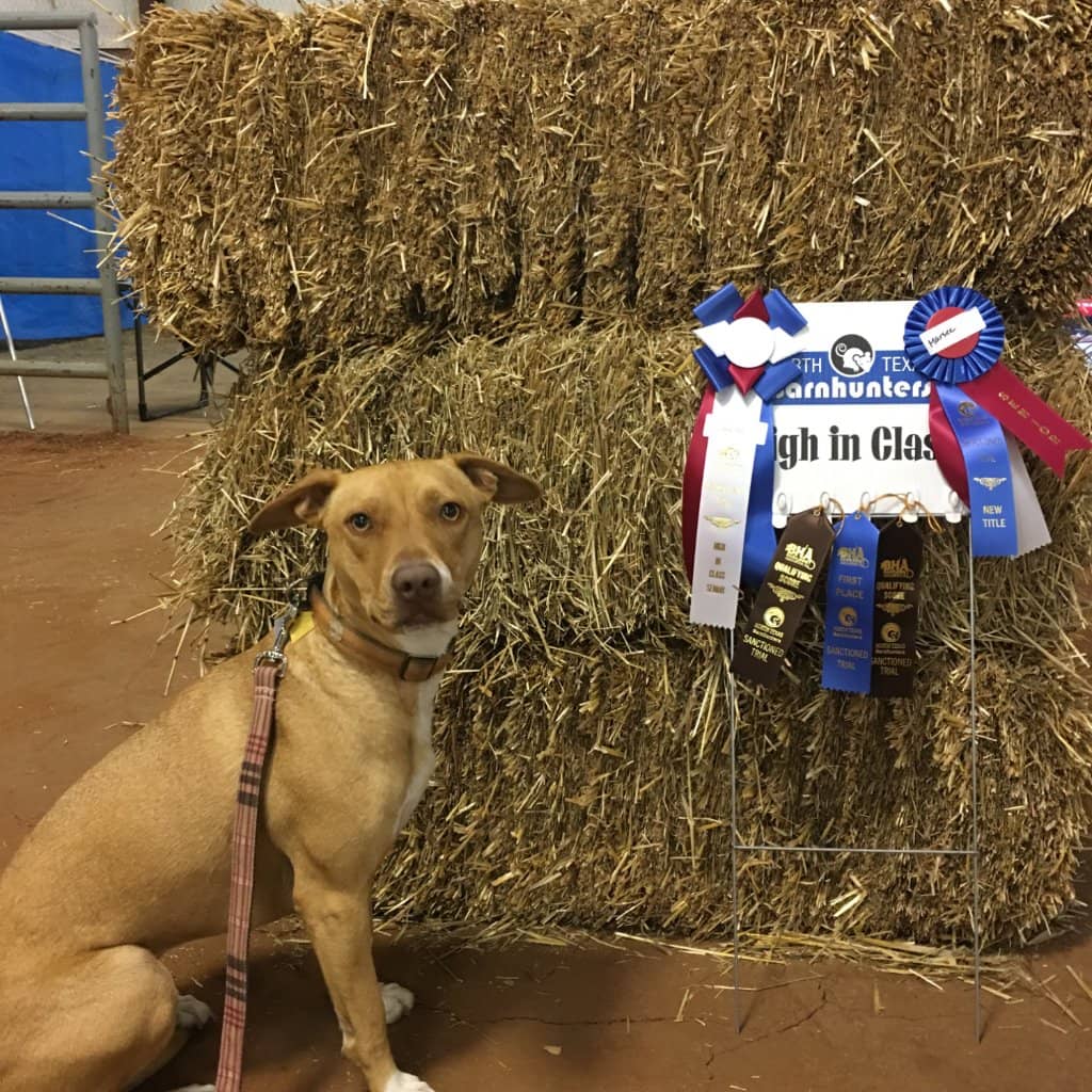 Wedding & Party Venue