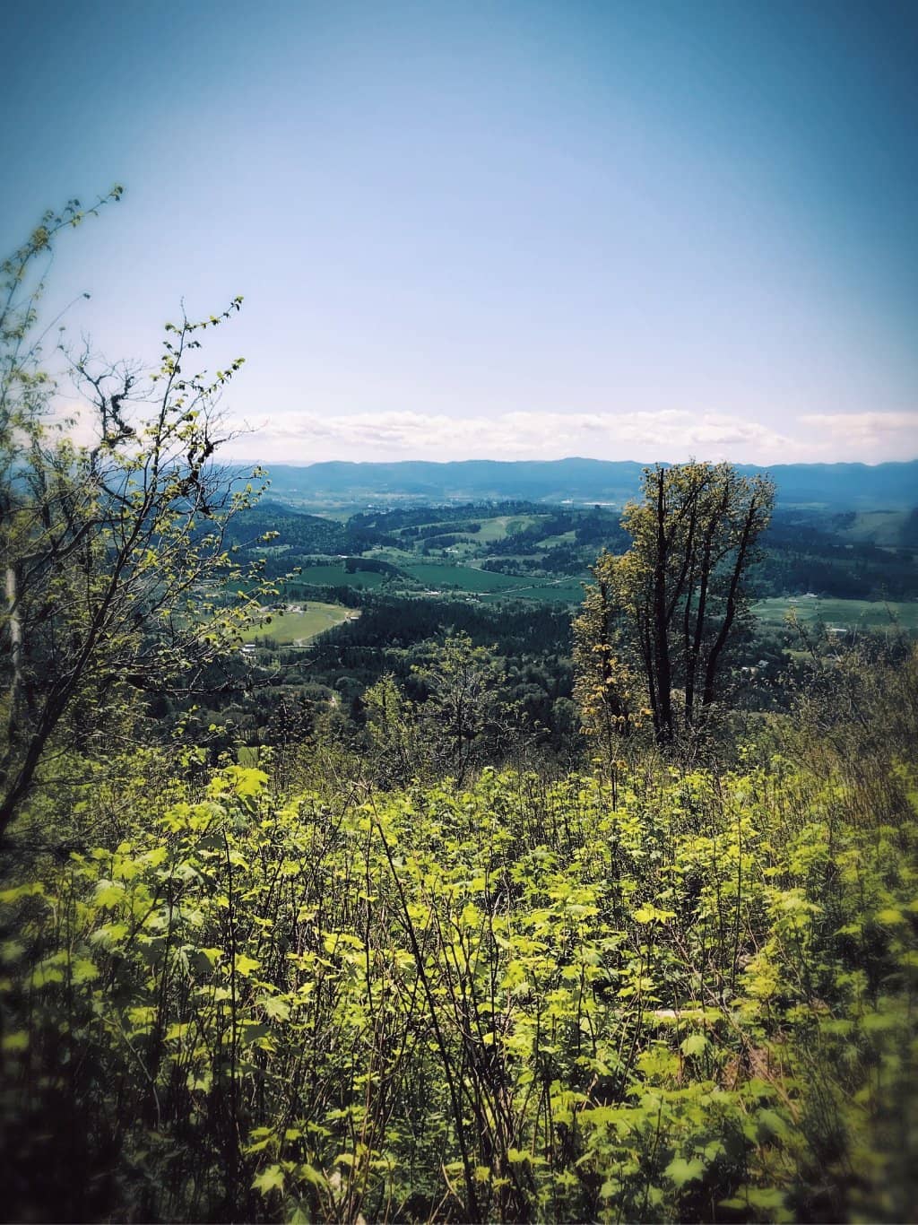 Vertical photo