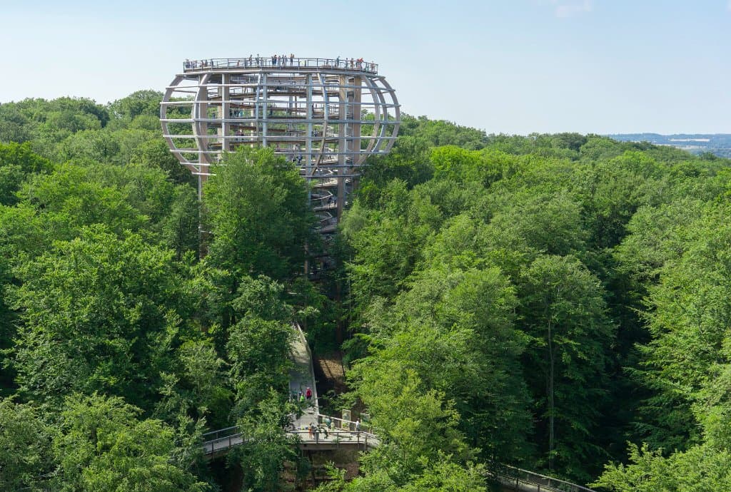 Der Baumwipfelpfad im Naturerbe Zentrum Rügen in Prora an der Ostsee