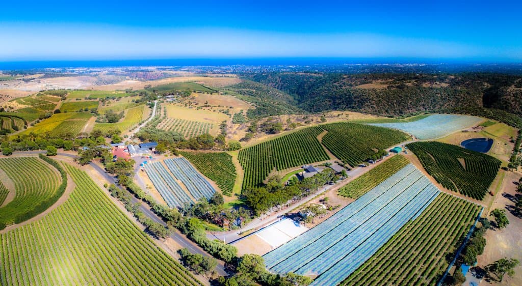 Aerial view of the winery looking back to McLaren Vale and Gulf St Vincent