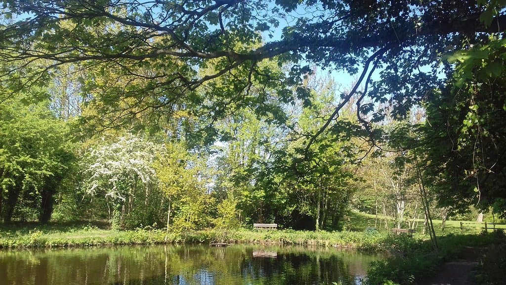 near the carpark