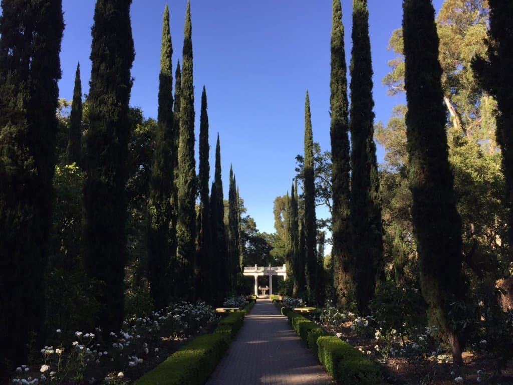 Montalvo Arts Center