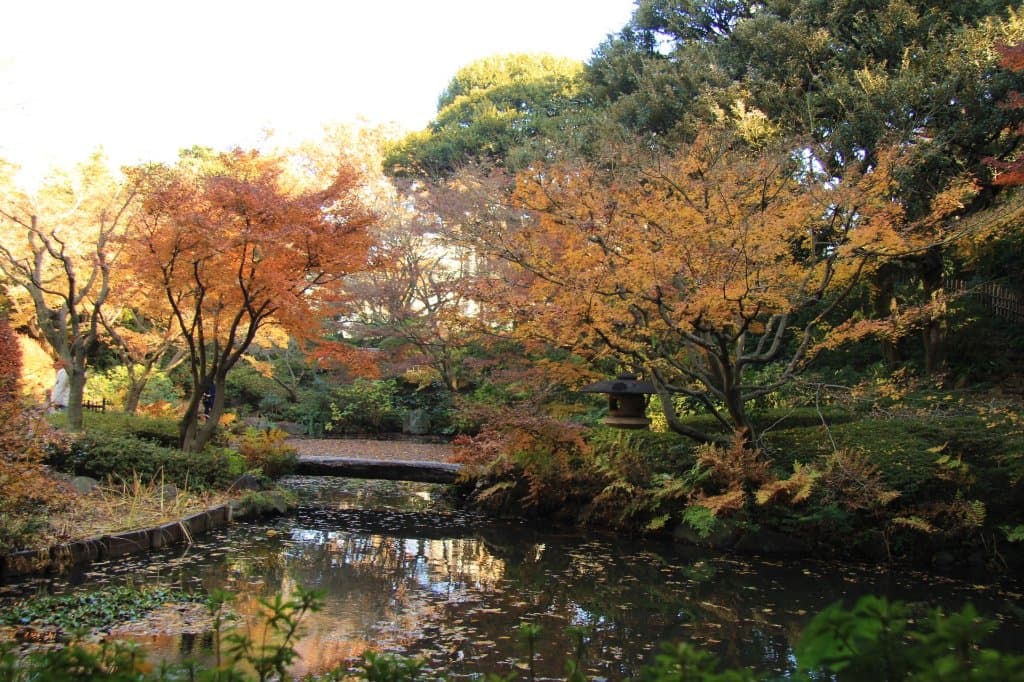 池田山公園の紅葉