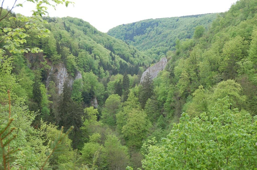 Sloup-Šošůvka Caves
