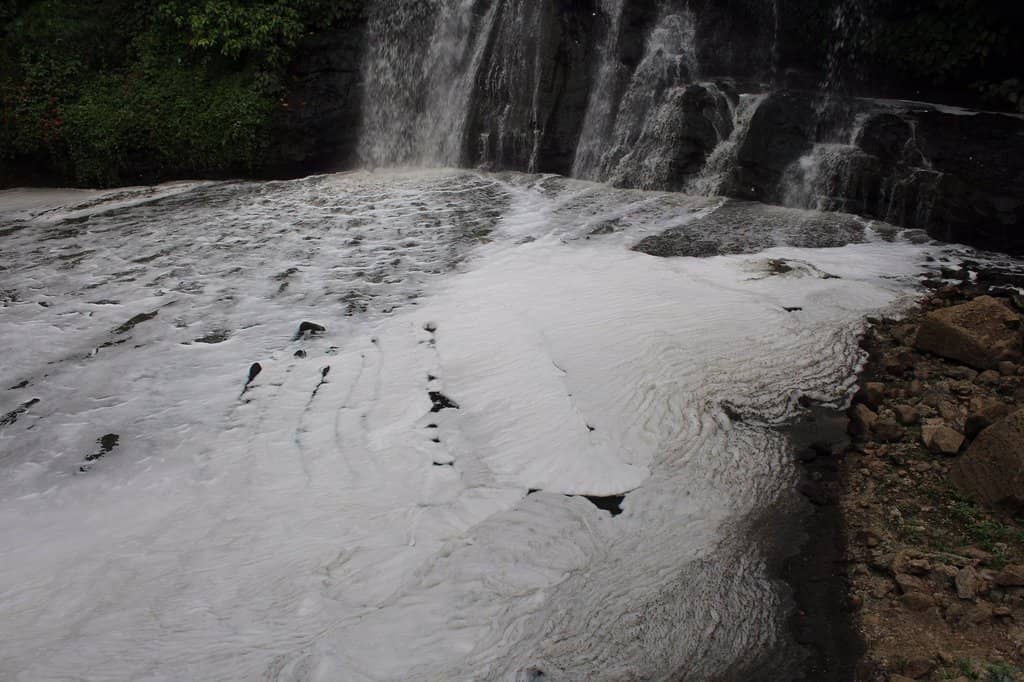 Adventure Park Activities