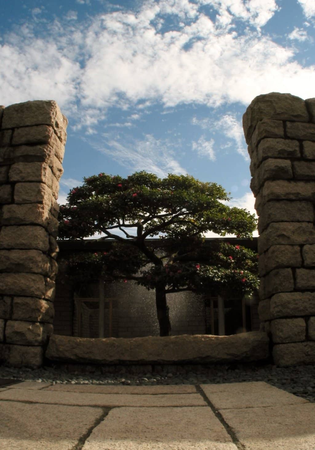 Unique Gift Shop Finds