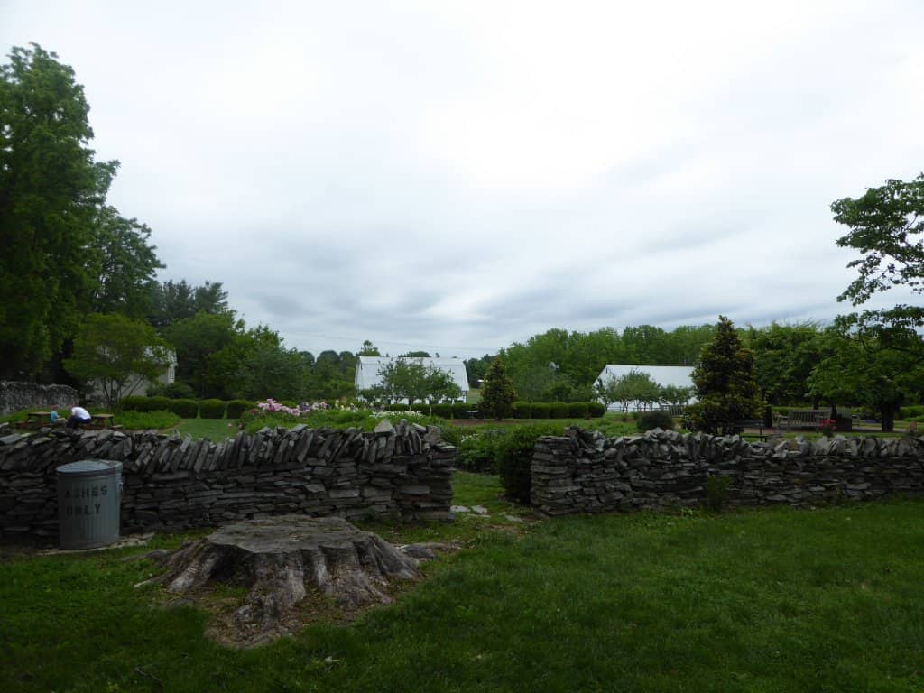 Restored Carriage Collection