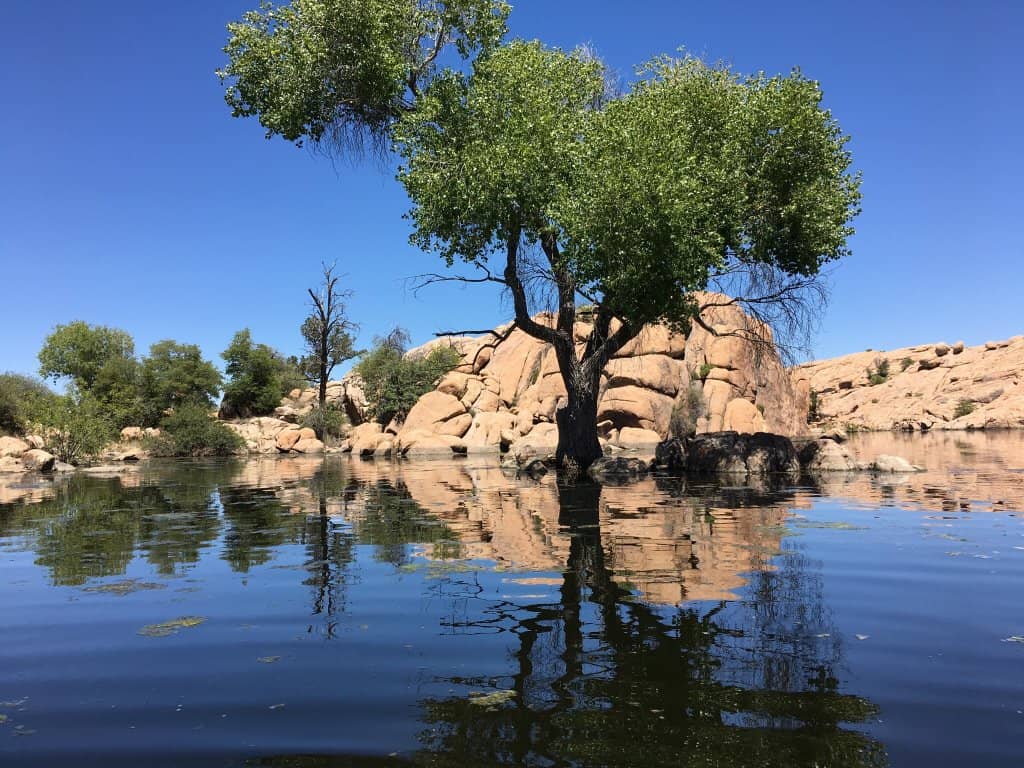 Vertical photo