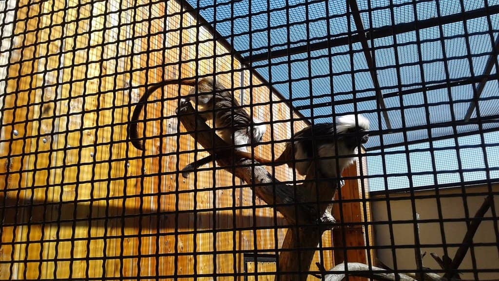 Diverse Animal Exhibits