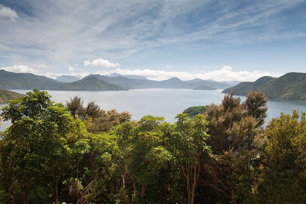View from the northern lookout