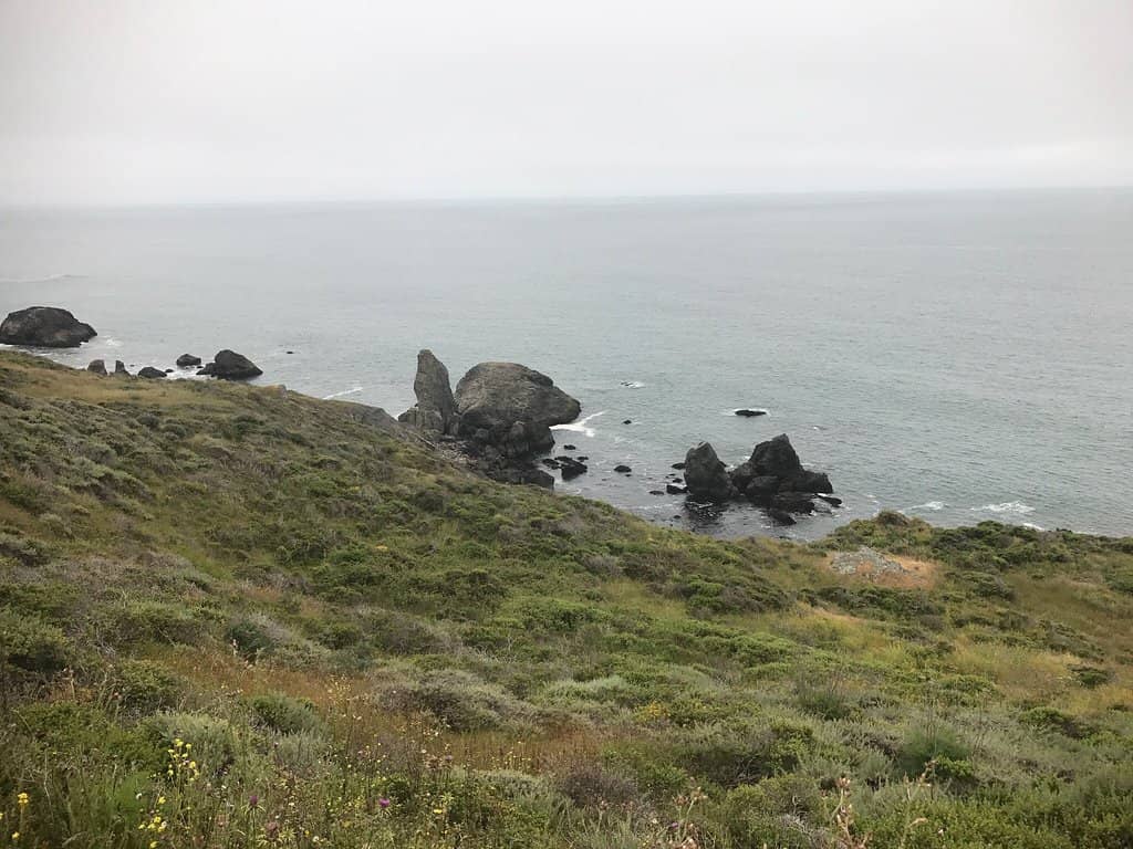 Vertical photo