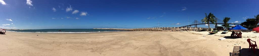 Local Beach Life