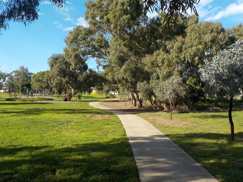 Scenic Path through Park