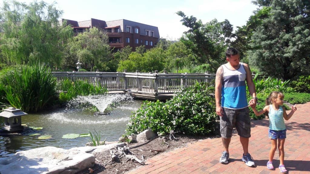 Koi Ponds and Water Features