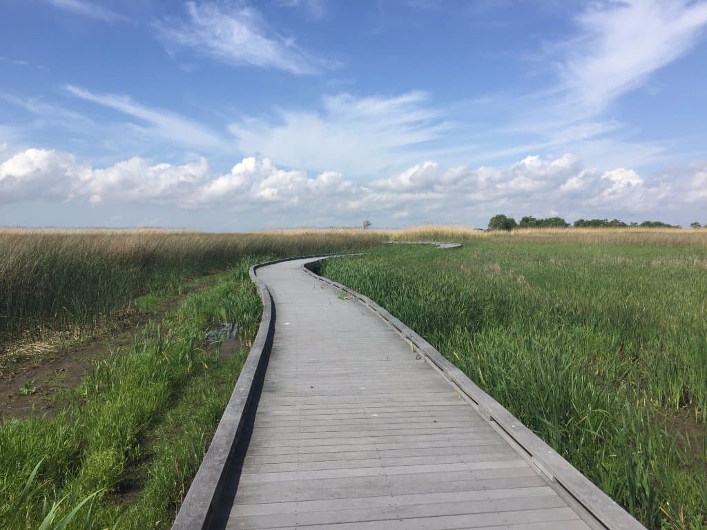 nature trail