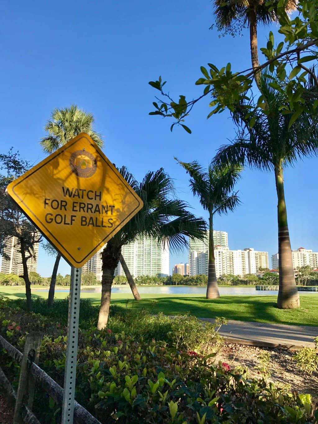 The 3.1-Mile Loop