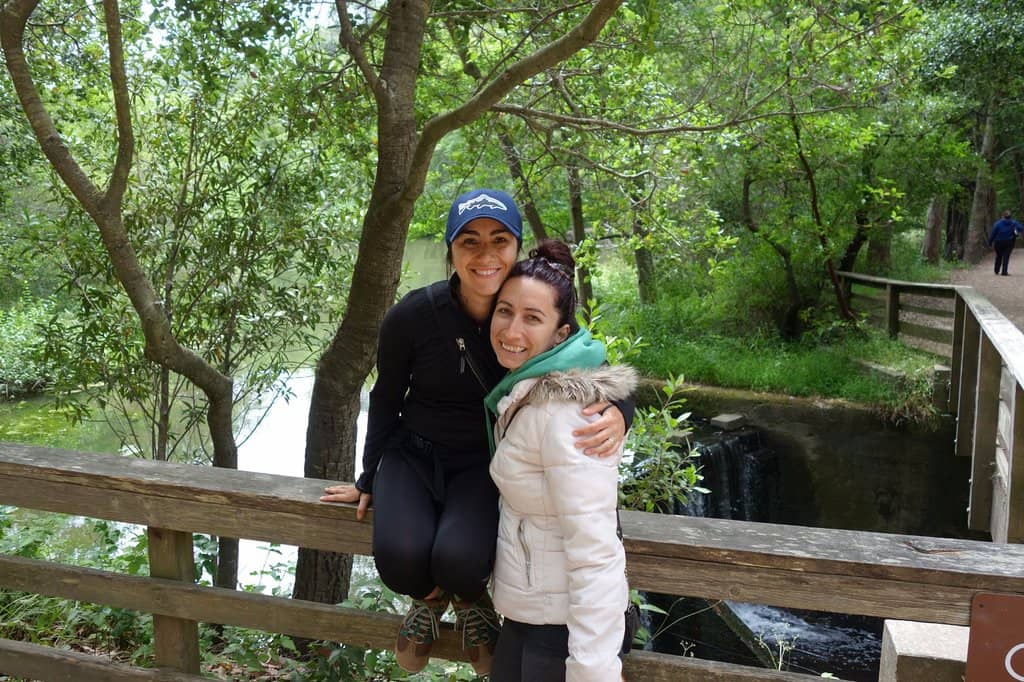 Hiking Trails & Views