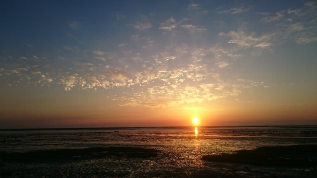 Xiangshan Wetlands