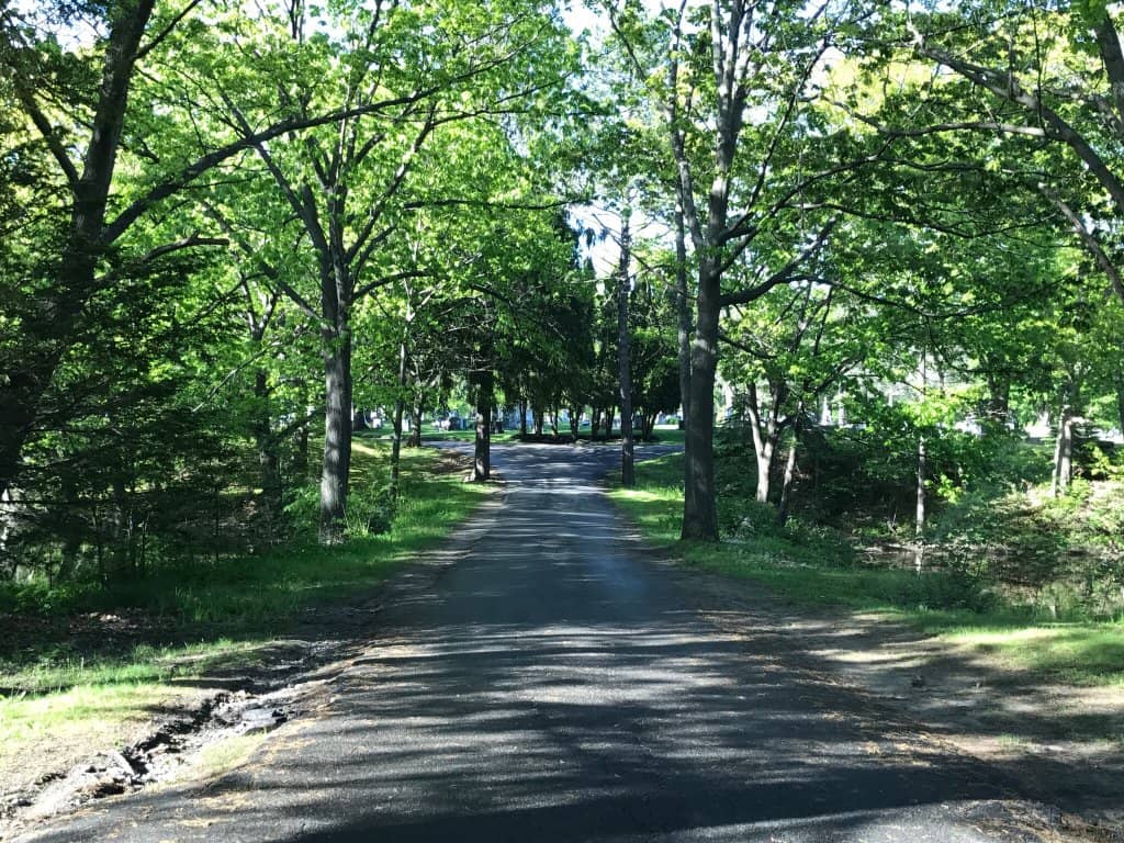 Manhattan Skyline Views