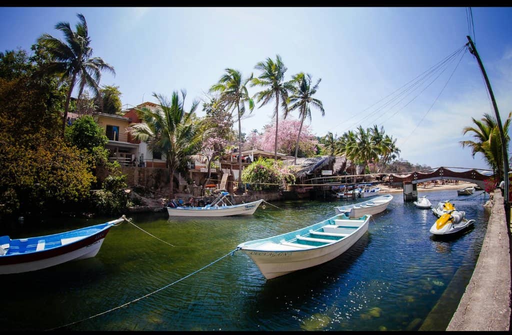 Beachfront Dining