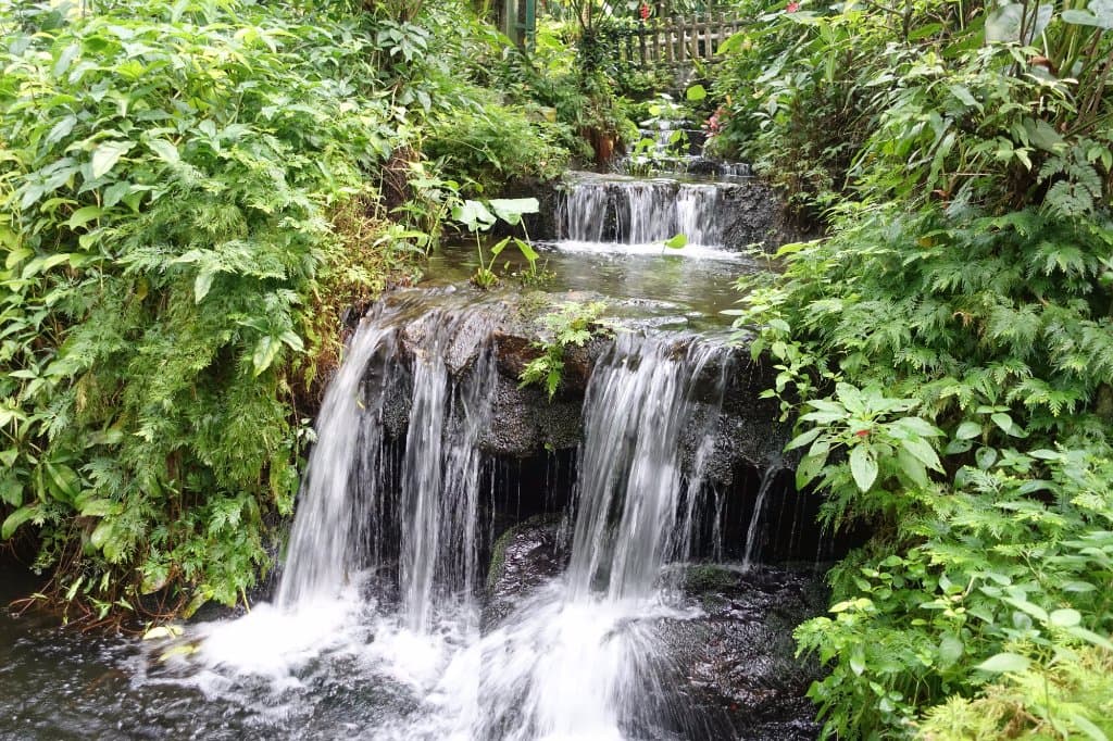 Lovely water features abound