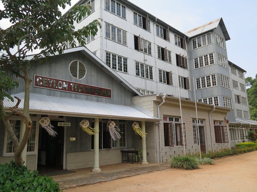 tea museum 10