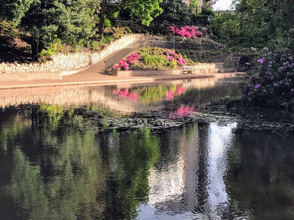 Duck Pond