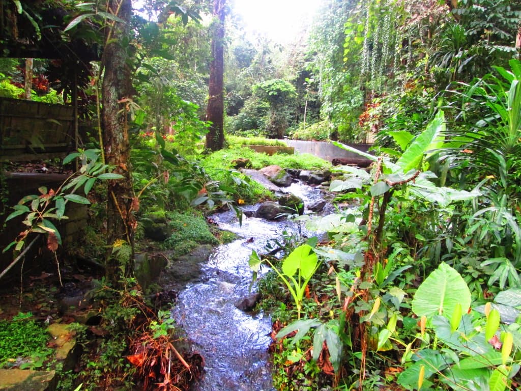 Before reaching the Ticketing Office, you will cross the bridge to this creek
