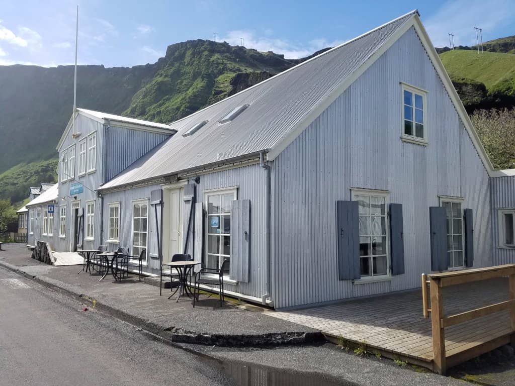 Wood-Fired Oven Pizzas