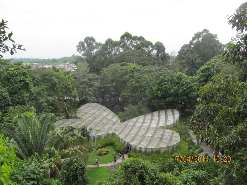 mariposario vista desde un mirador