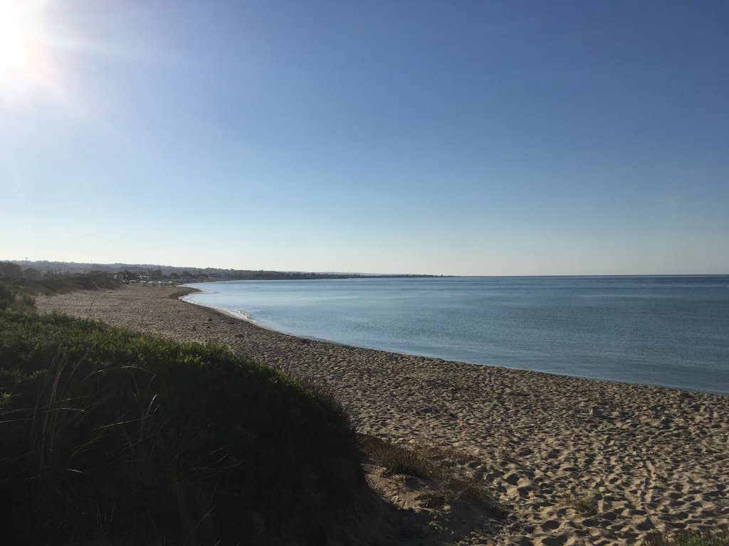 Family-Friendly Atmosphere