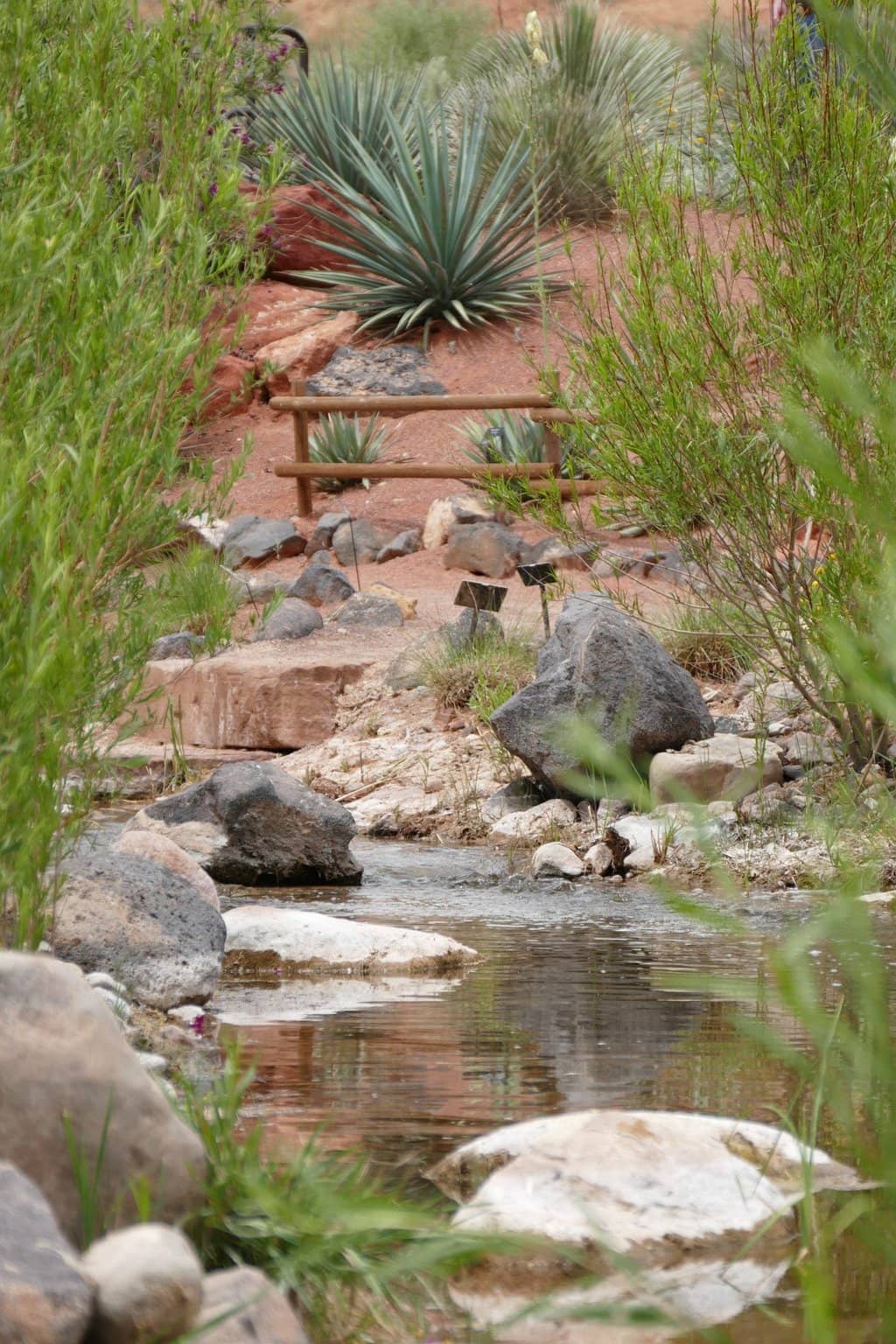 Water-Efficient Plant Collection