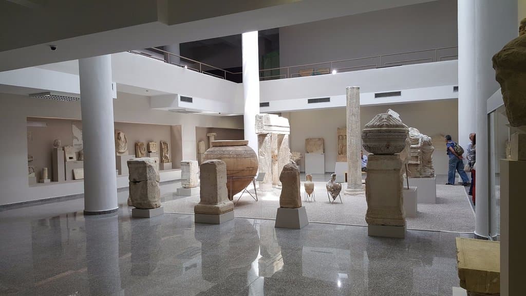 La collezione